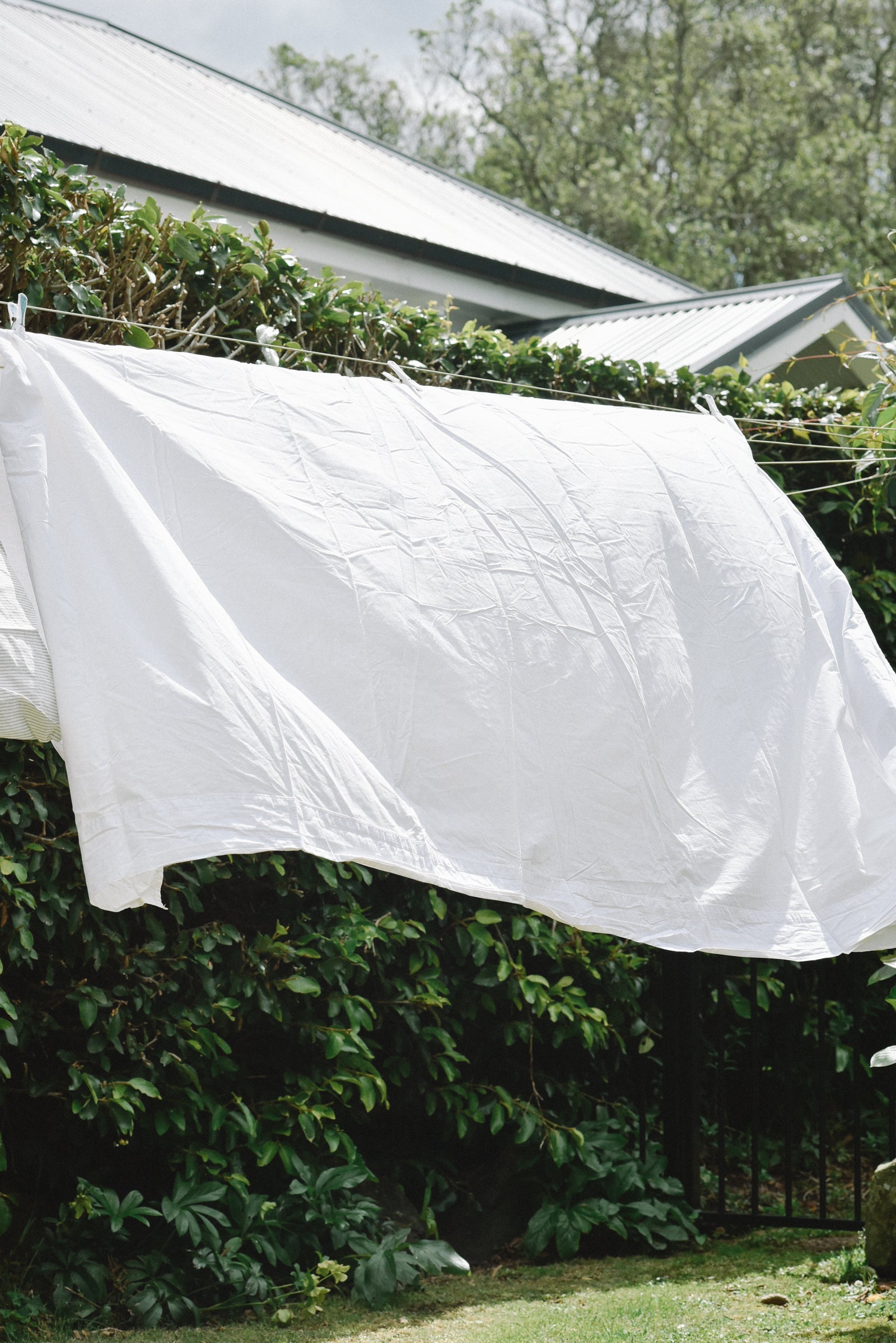 Real World Rest Laundry Liquid - Mamaku & Star Jasmine